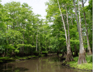 The Top Ten Lakes for Fishing Crappie